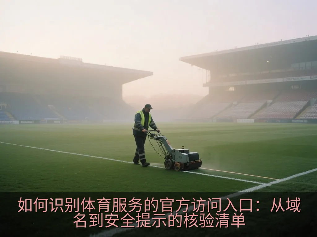 手机屏幕展示应用详情信息,用户核对开发者和支持网址