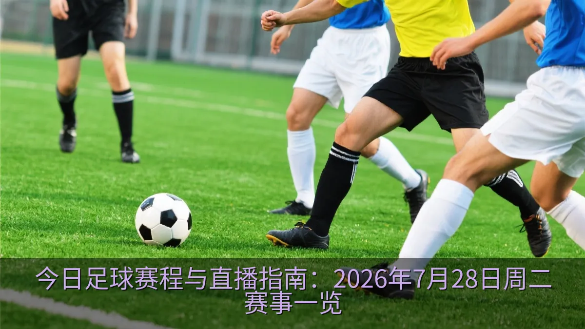 足球比赛中球员在草坪上争夺皮球